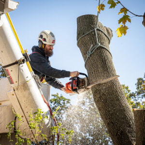 Climbing Gear